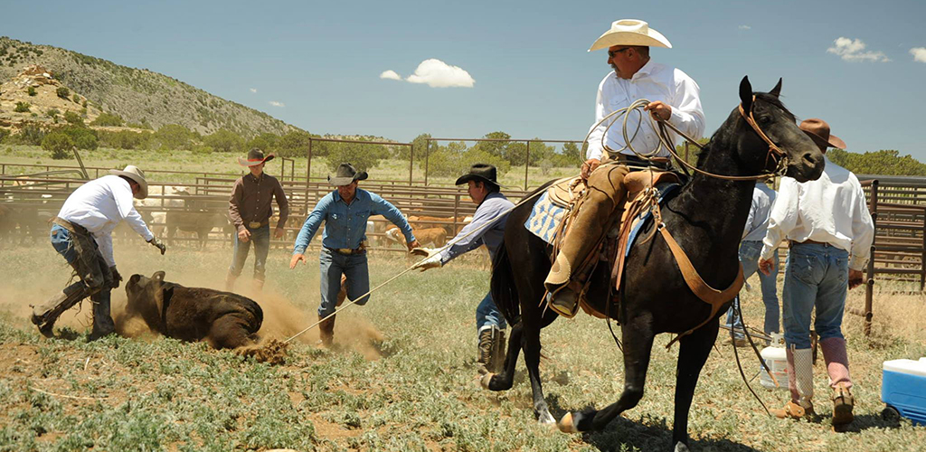 cattle rancher